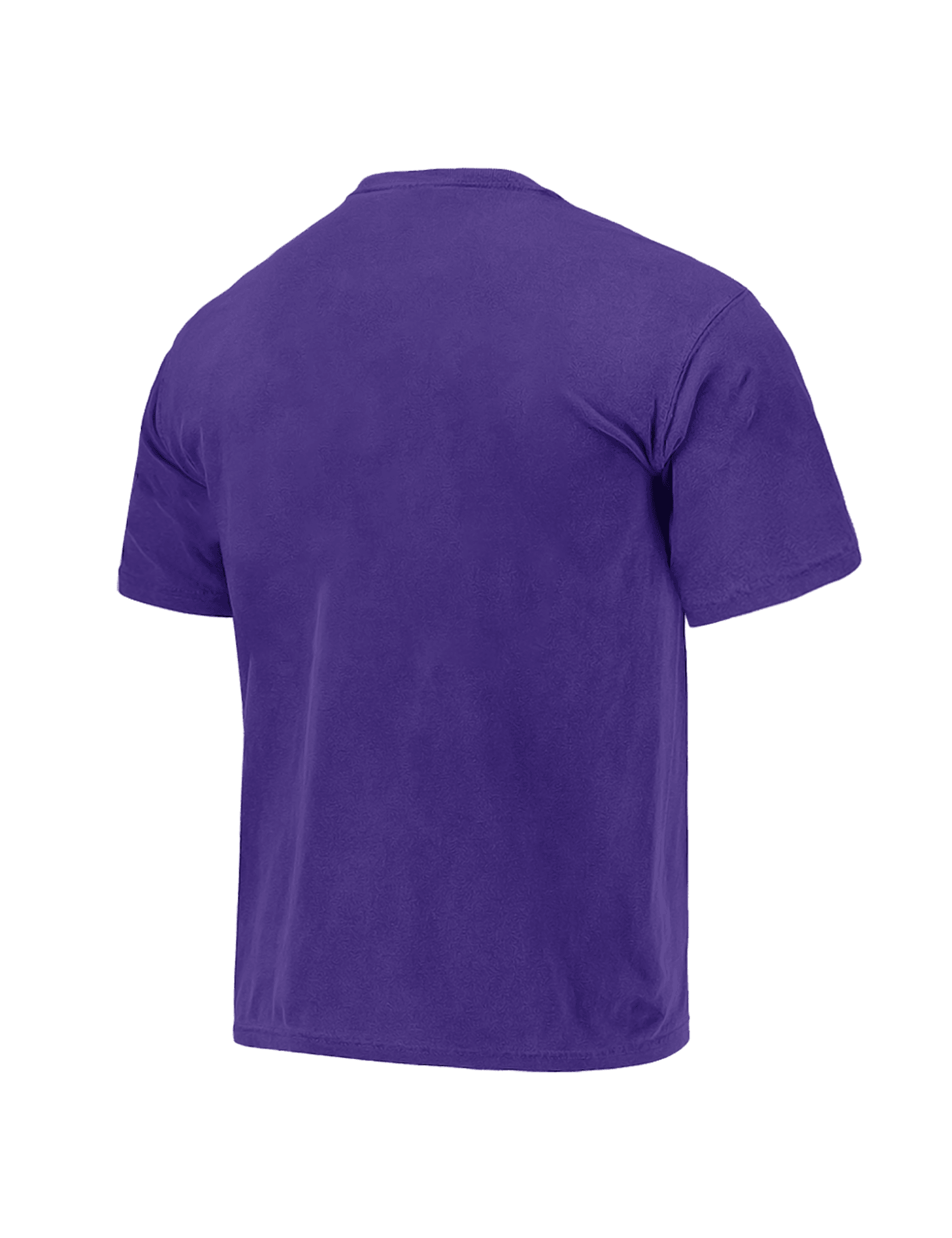 Mitchell And Ness T-Shirts Phoenix Suns Mitchell & Ness NBA Lightning Hoop Vintage T-Shirt - Purple