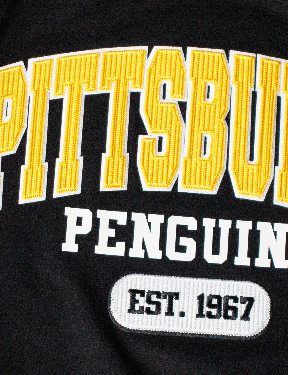 Pro Standard T-Shirts Pittsburgh Penguins Pro Standard NHL City Arch Flex T-Shirt - Black