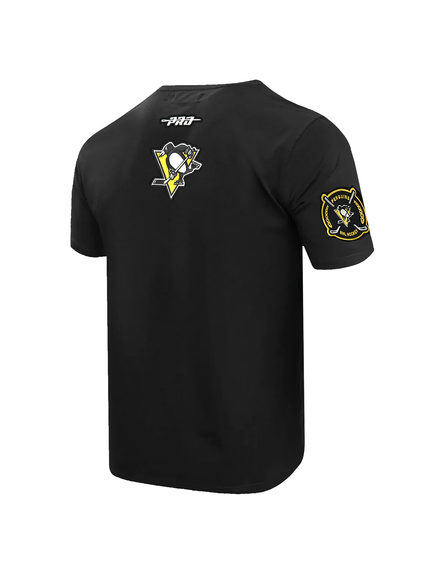 Pro Standard T-Shirts Pittsburgh Penguins Pro Standard NHL City Arch Flex T-Shirt - Black