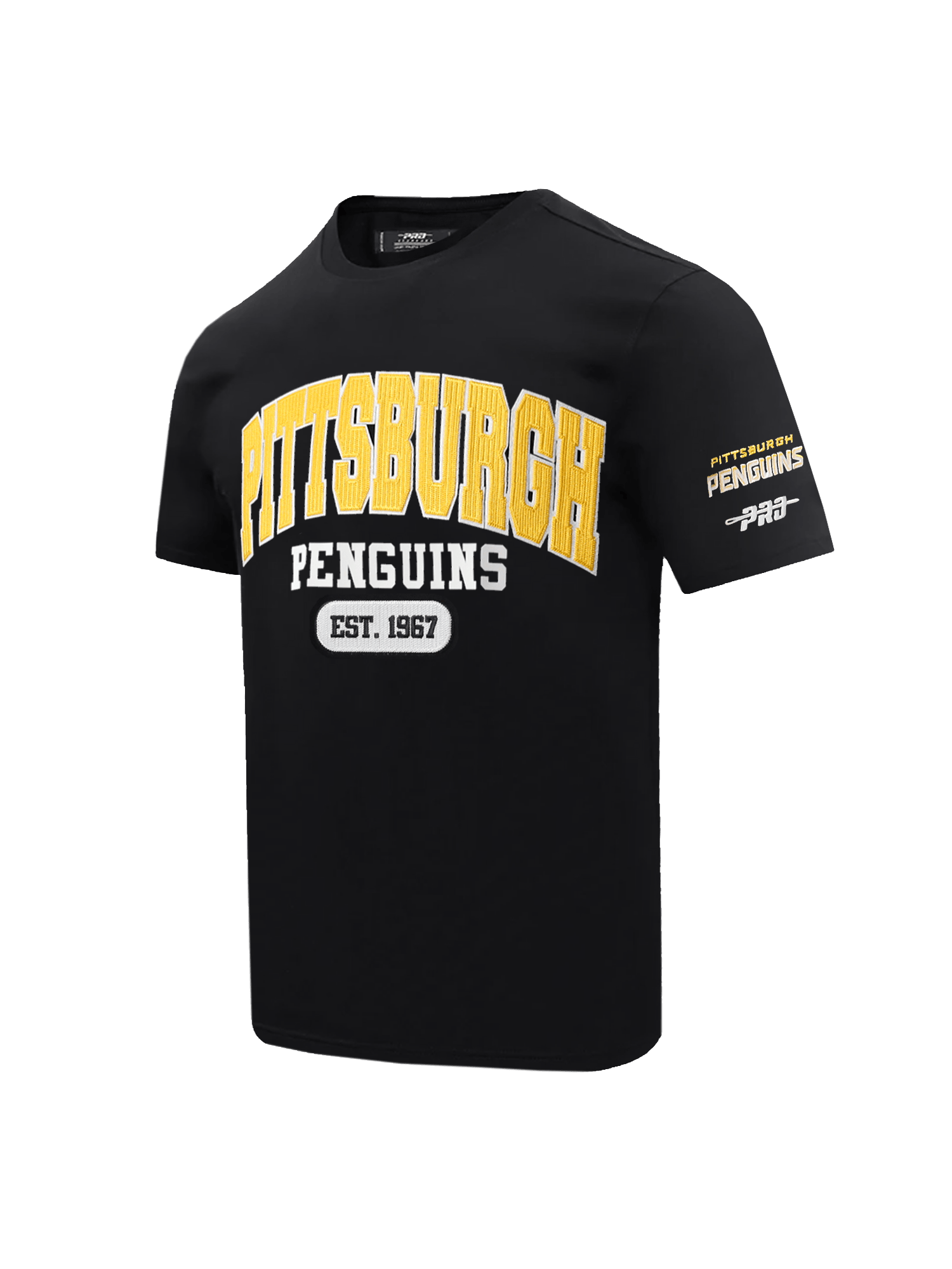 Pro Standard T-Shirts Pittsburgh Penguins Pro Standard NHL City Arch Flex T-Shirt - Black