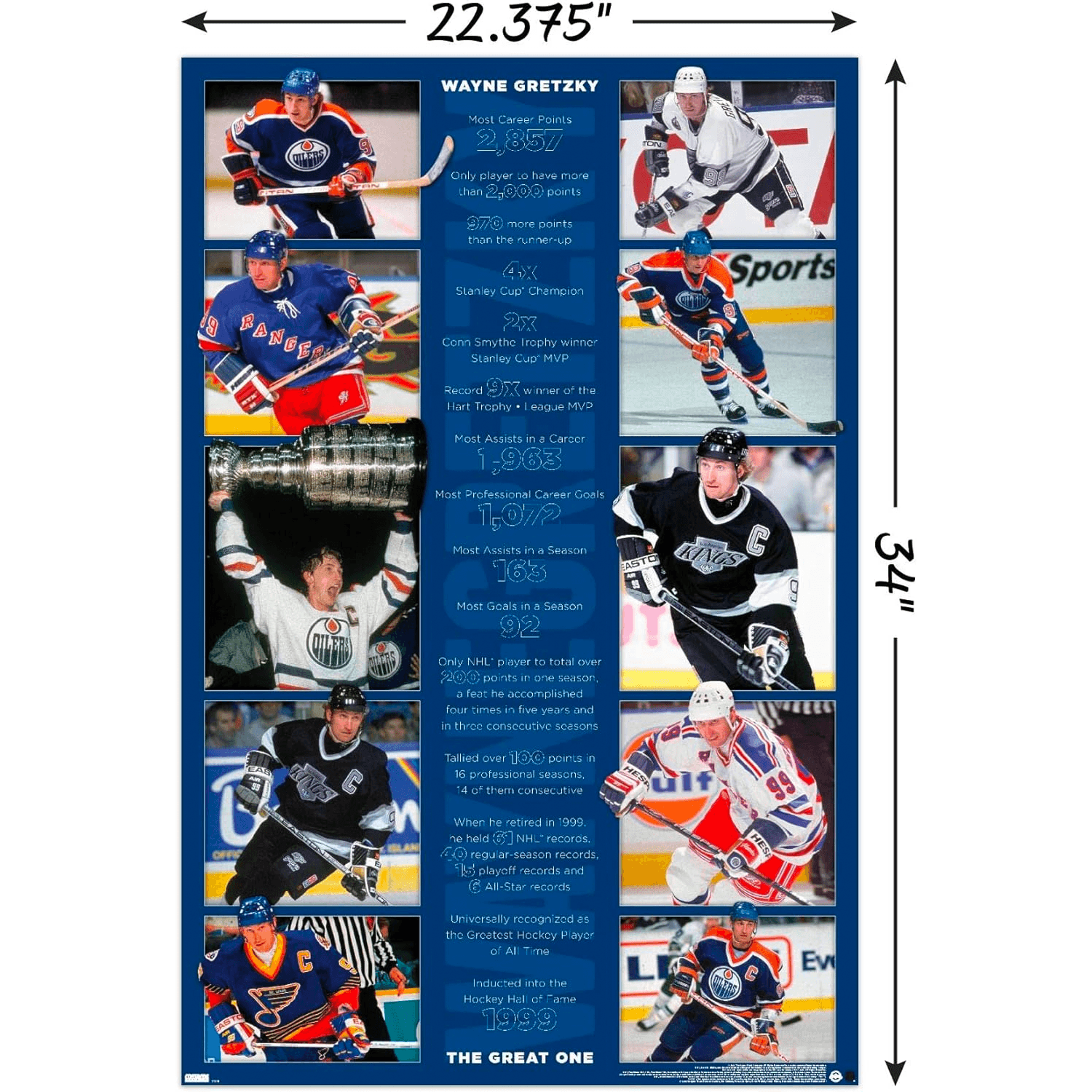 Trends International Posters Wayne Gretzky Los Angeles Kings Trends NHL 61 x 91.5cm Stats Poster
