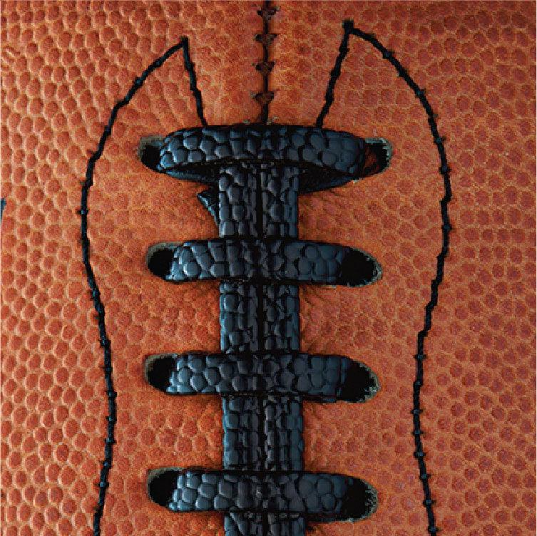 Wilson Sporting Goods Balls Wilson NCAA GST Full Size Game Leather Football - Tan