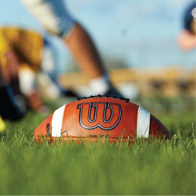Wilson Sporting Goods Balls Wilson NCAA GST Full Size Game Leather Football - Tan