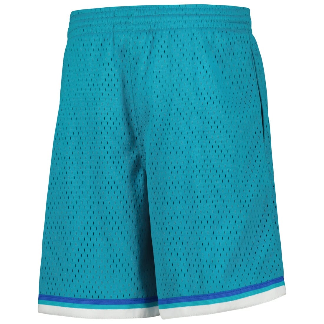 Charlotte Hornets Mitchell & Ness NBA 92-93 Swingman Shorts - Teal