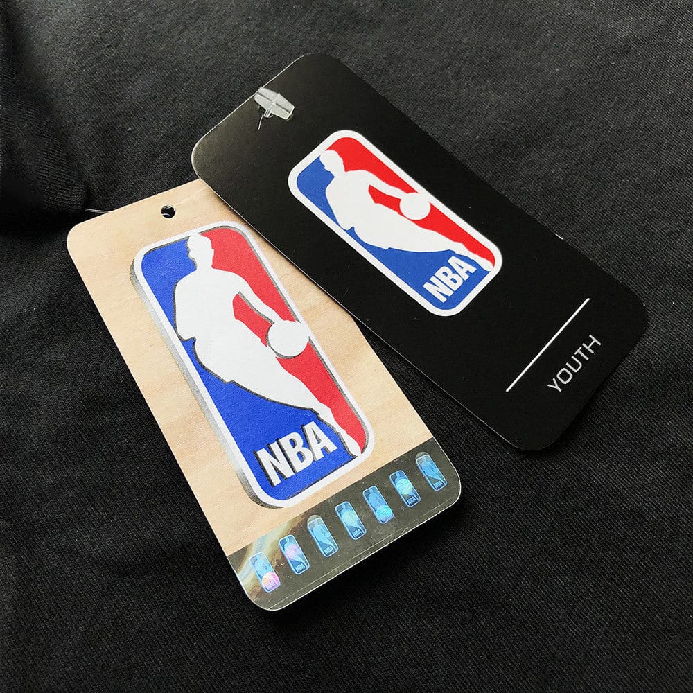NBA Essentials Jumpers Youths Charlotte Hornets NBA Essentials Team Arch Hoodie Jumper - Black
