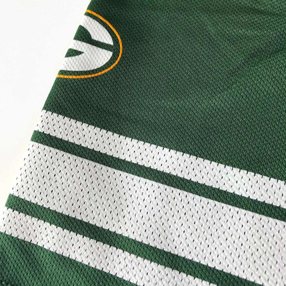 Aaron Rodgers Green Bay Packers Majestic NFL Hashmark Jersey - Green