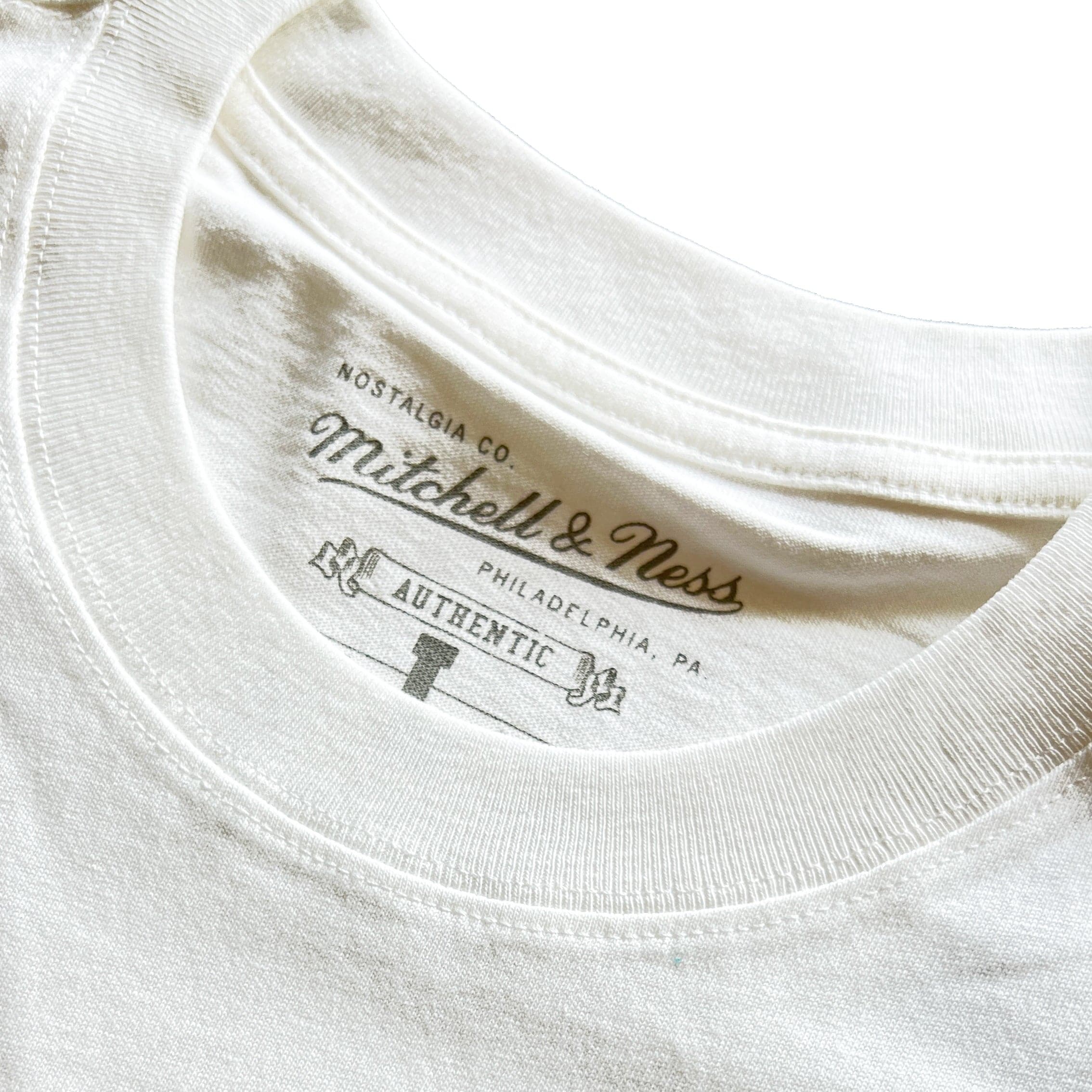 Charlotte Hornets Mitchell & Ness NBA Alive In The Hive Vintage T-Shirt - White