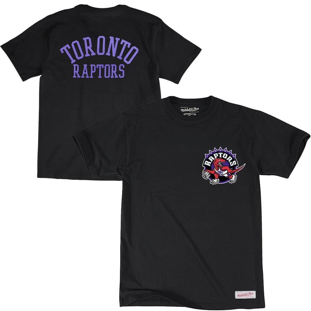 Toronto Raptors Mitchell & Ness NBA Arch Wordmark T-Shirt - Black