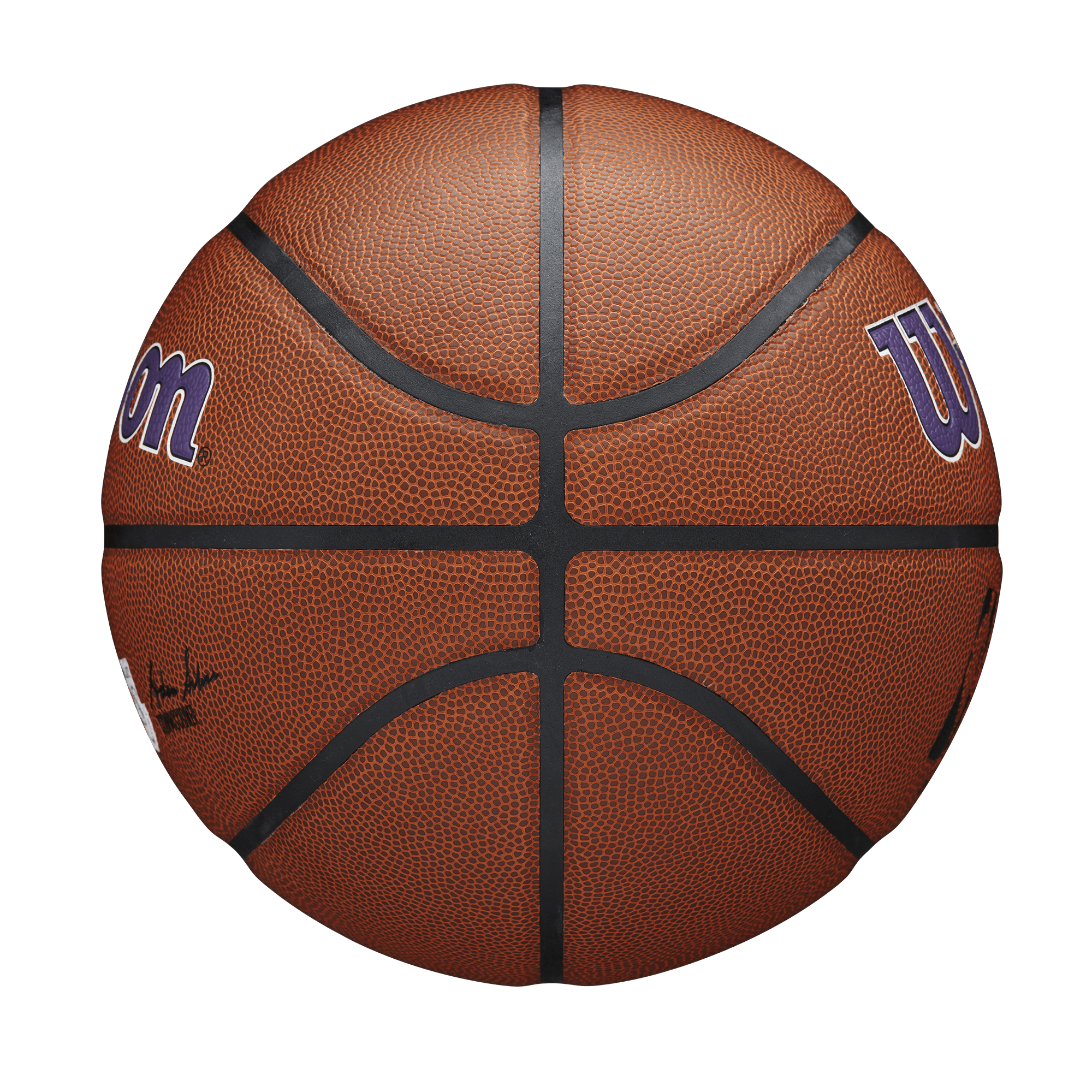 Los Angeles Lakers Wilson NBA Team Full Size Basketball Ball