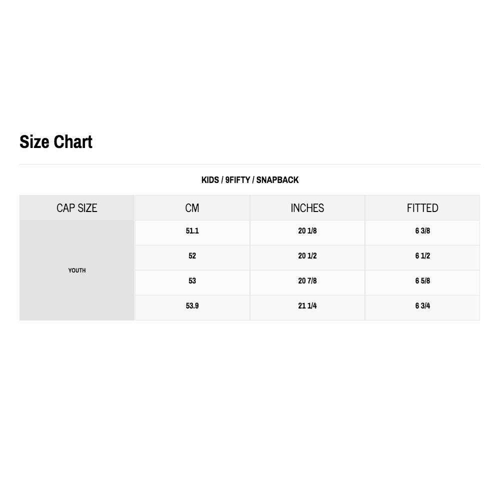 Youths Boston Celtics New Era NBA Team Heather 9FIFTY Snapback Hat