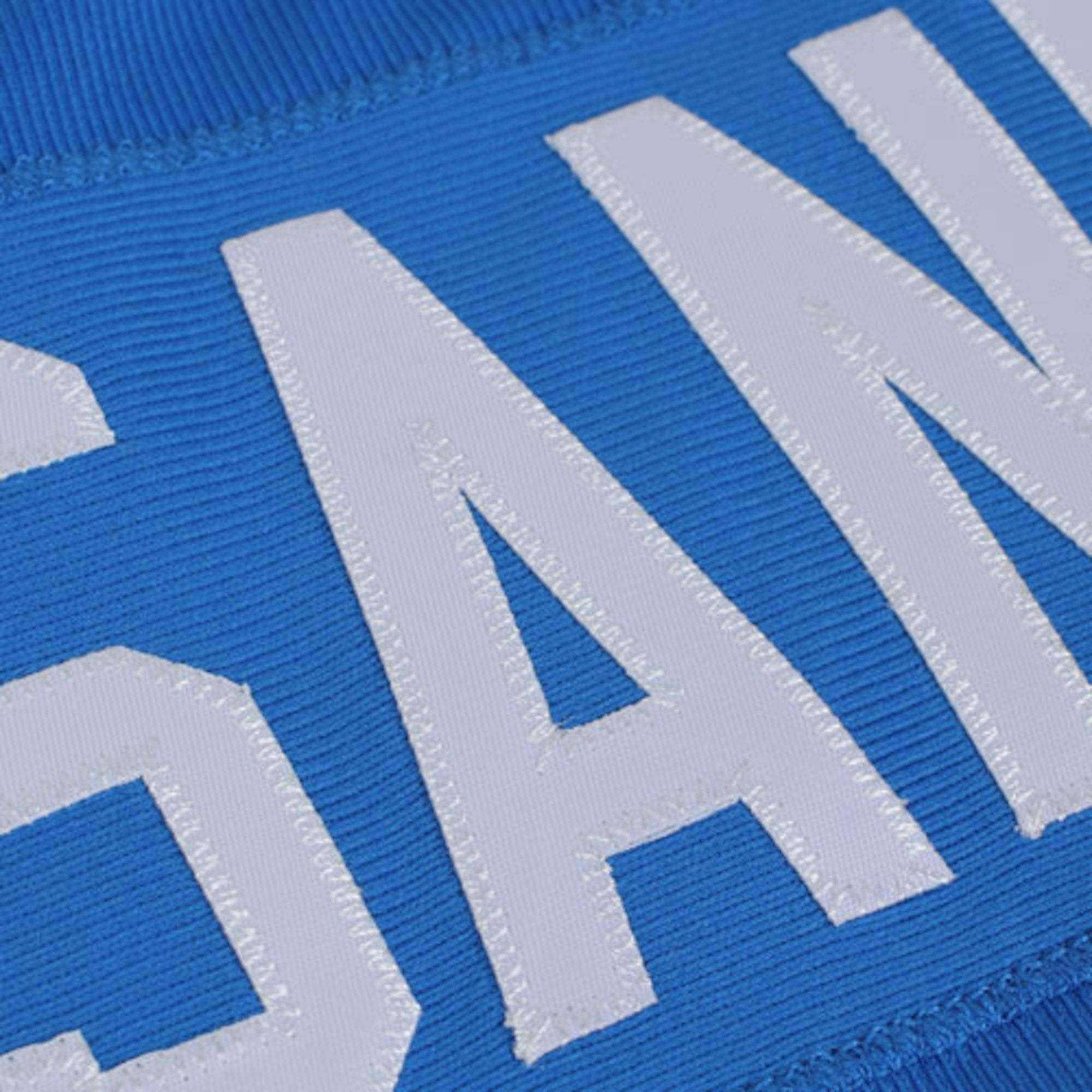 Mitchell And Ness Jerseys Barry Sanders Detroit Lions Mitchell & Ness NFL Legacy Jersey - Blue