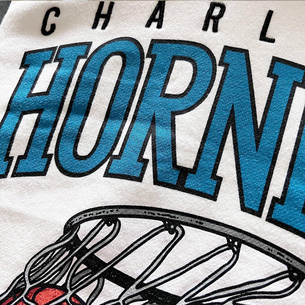 Mitchell And Ness Jumpers Charlotte Hornets Mitchell & Ness NBA Arch Net Vintage Hoodie Jumper - Vintage White