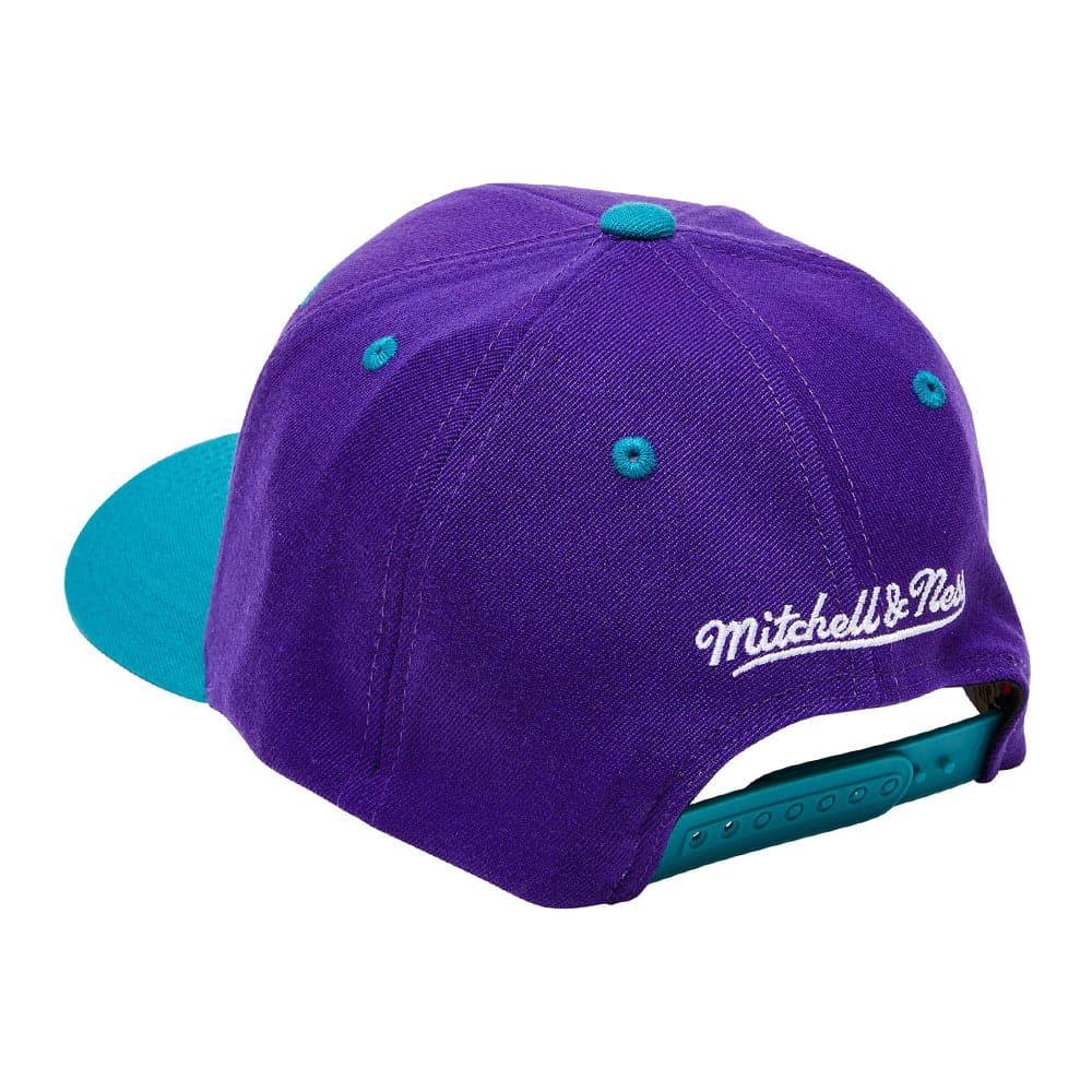 Mitchell And Ness Caps Charlotte Hornets Mitchell & Ness NBA Billboard Classic Red Curve Snapback Hat - Purple