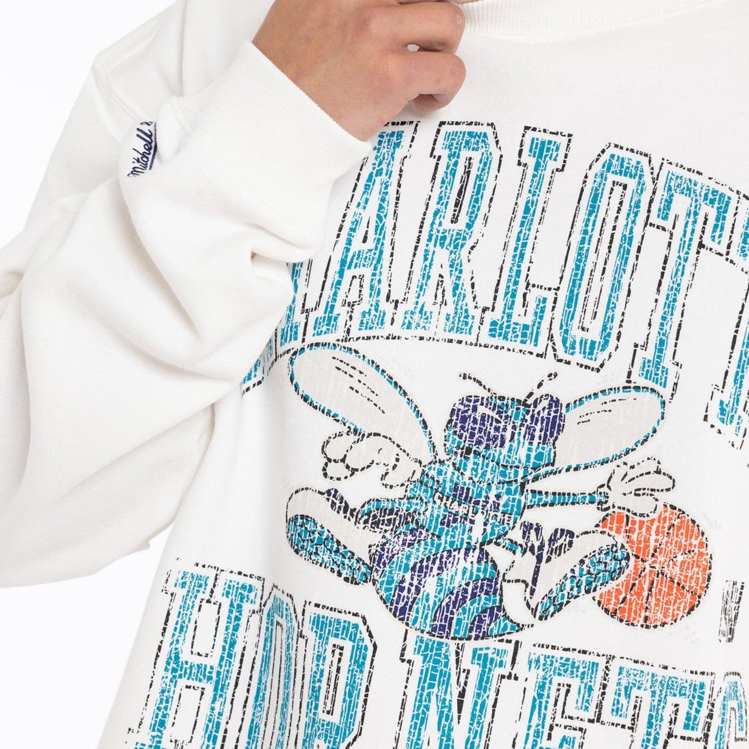 Mitchell And Ness Jumpers Charlotte Hornets Mitchell & Ness NBA Ivy Arch Vintage Crew Jumper - Vintage White