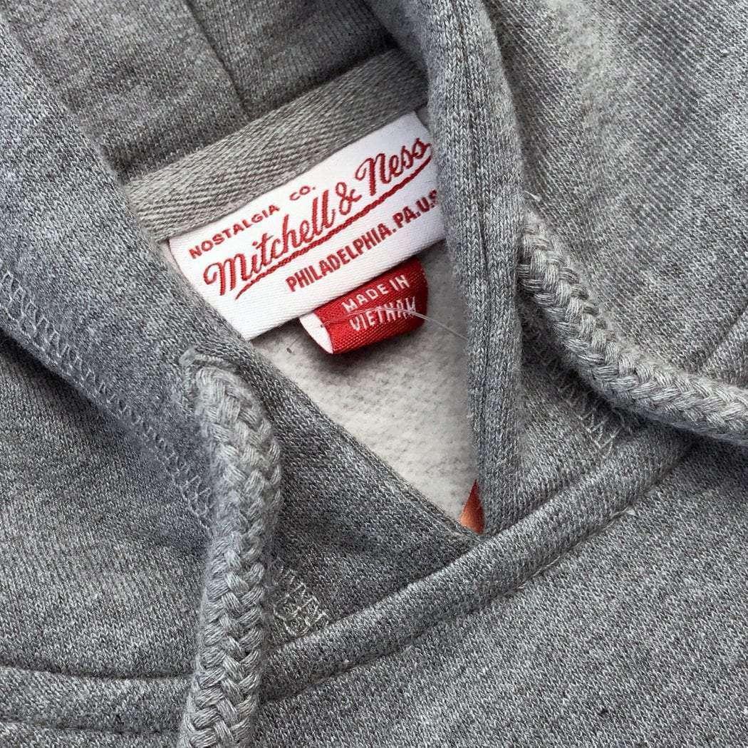 Mitchell And Ness Jumpers Charlotte Hornets Mitchell & Ness NBA Wordmark Hoodie Jumper - Grey