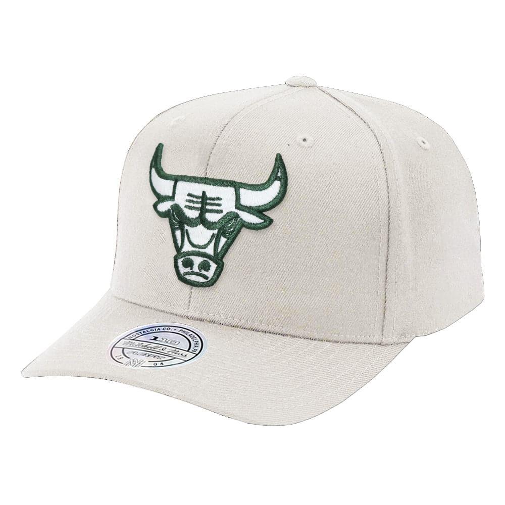 Mitchell And Ness Caps Chicago Bulls Mitchell & Ness NBA 110 Forest Snapback Hat - Stone