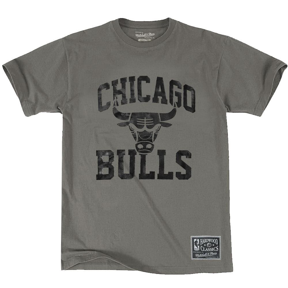 Mitchell And Ness T-Shirts Chicago Bulls Mitchell & Ness NBA Gunmetal Arch T-Shirt - Grey