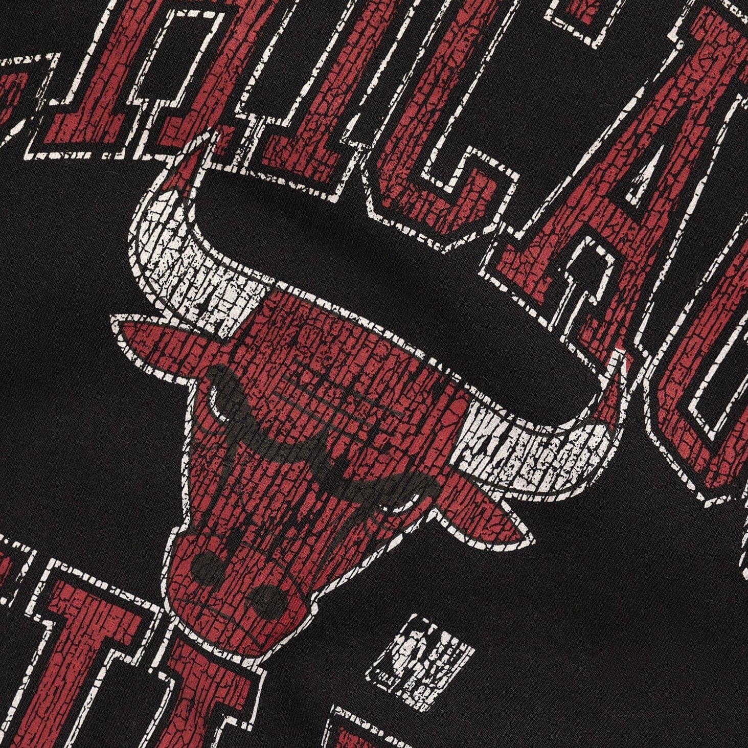 Mitchell And Ness Jumpers Chicago Bulls Mitchell & Ness NBA Ivy Arch Vintage Crew Jumper - Faded Black