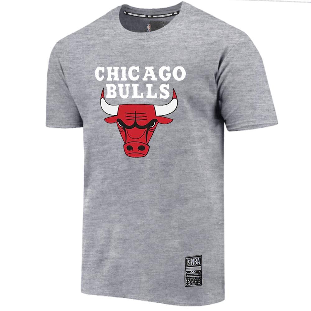 NBA Essentials T-Shirts Chicago Bulls NBA Essentials Team Logo T-Shirt - Grey