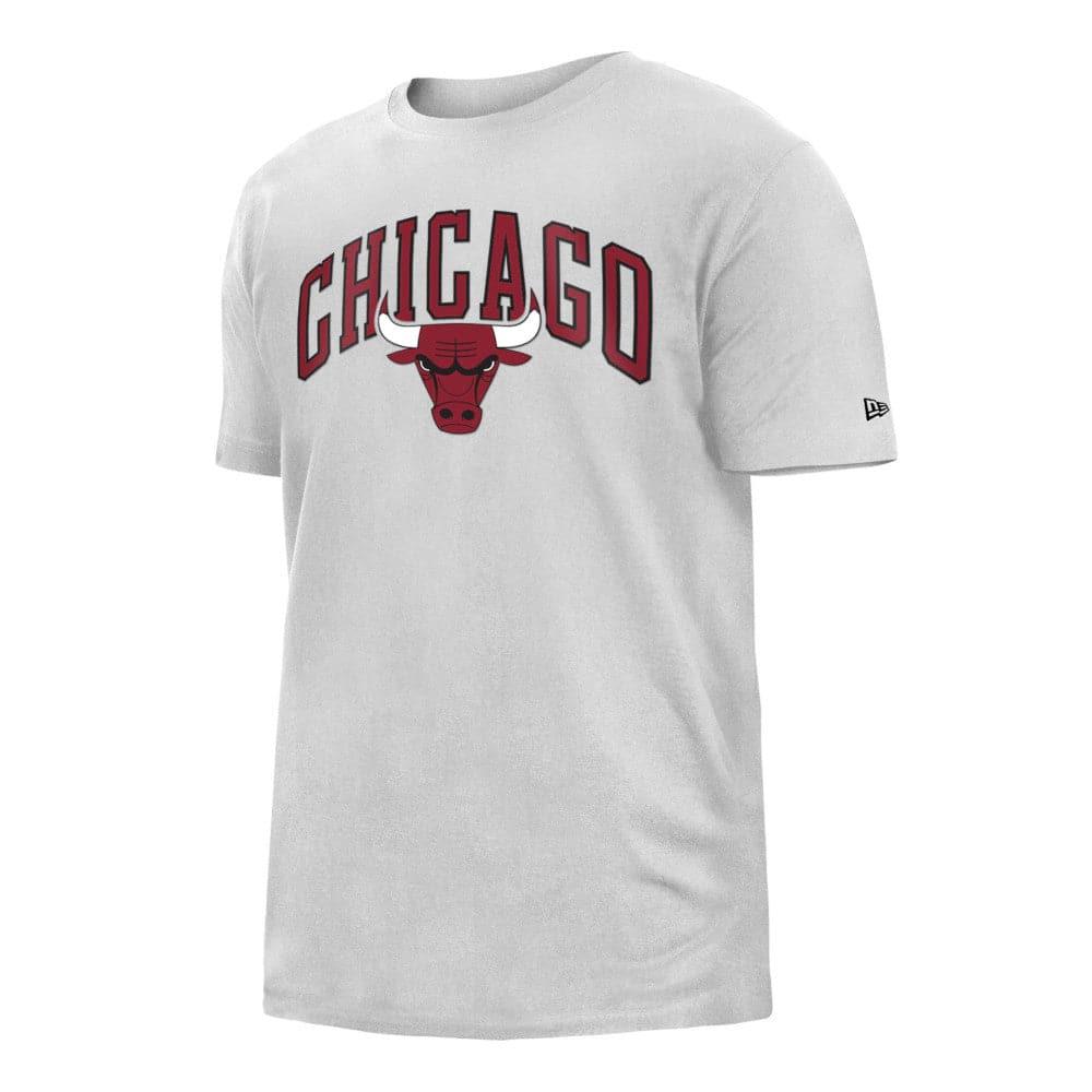 New Era T-Shirts Chicago Bulls New Era NBA 22-23 City Edition T-Shirt - White