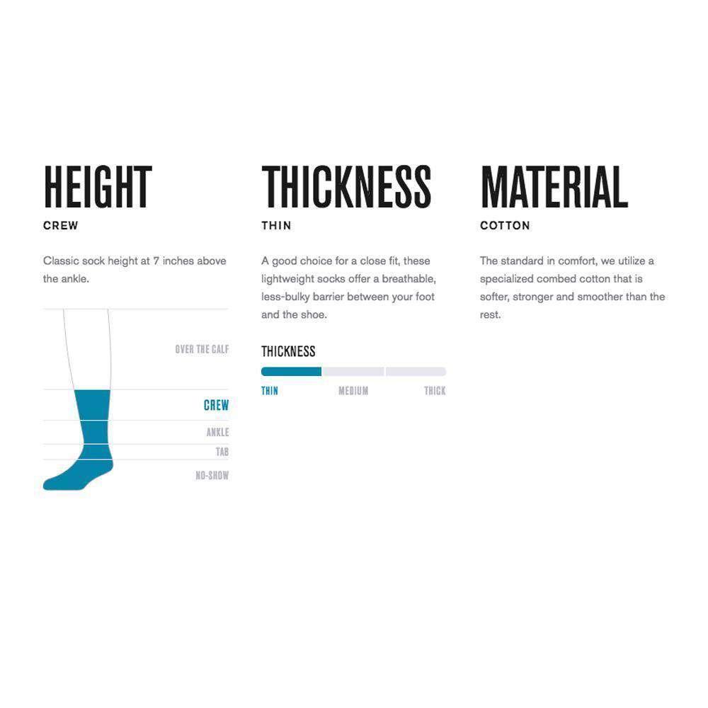 Stance Socks Large (9-12 US) Detroit Lions Stance NFL Logo Stripe Crew Socks - Grey