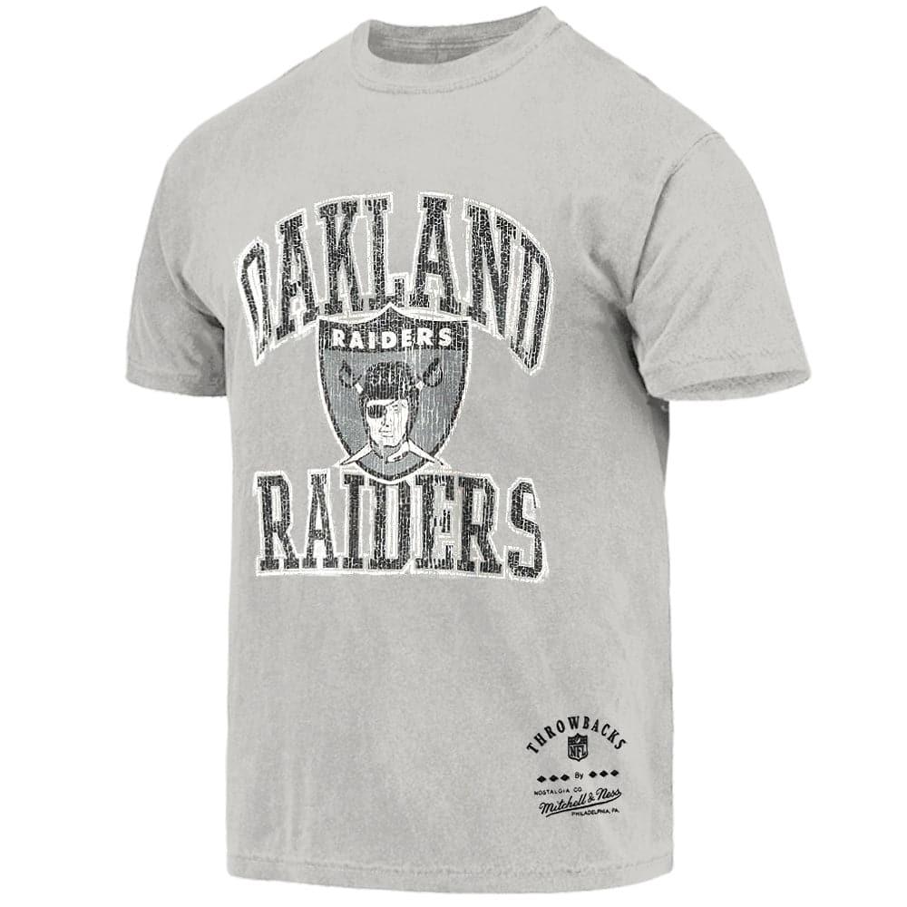 Mitchell And Ness T-Shirts Las Vegas Raiders Mitchell & Ness NFL Ivy Arch Vintage T-Shirt - Faded Grey