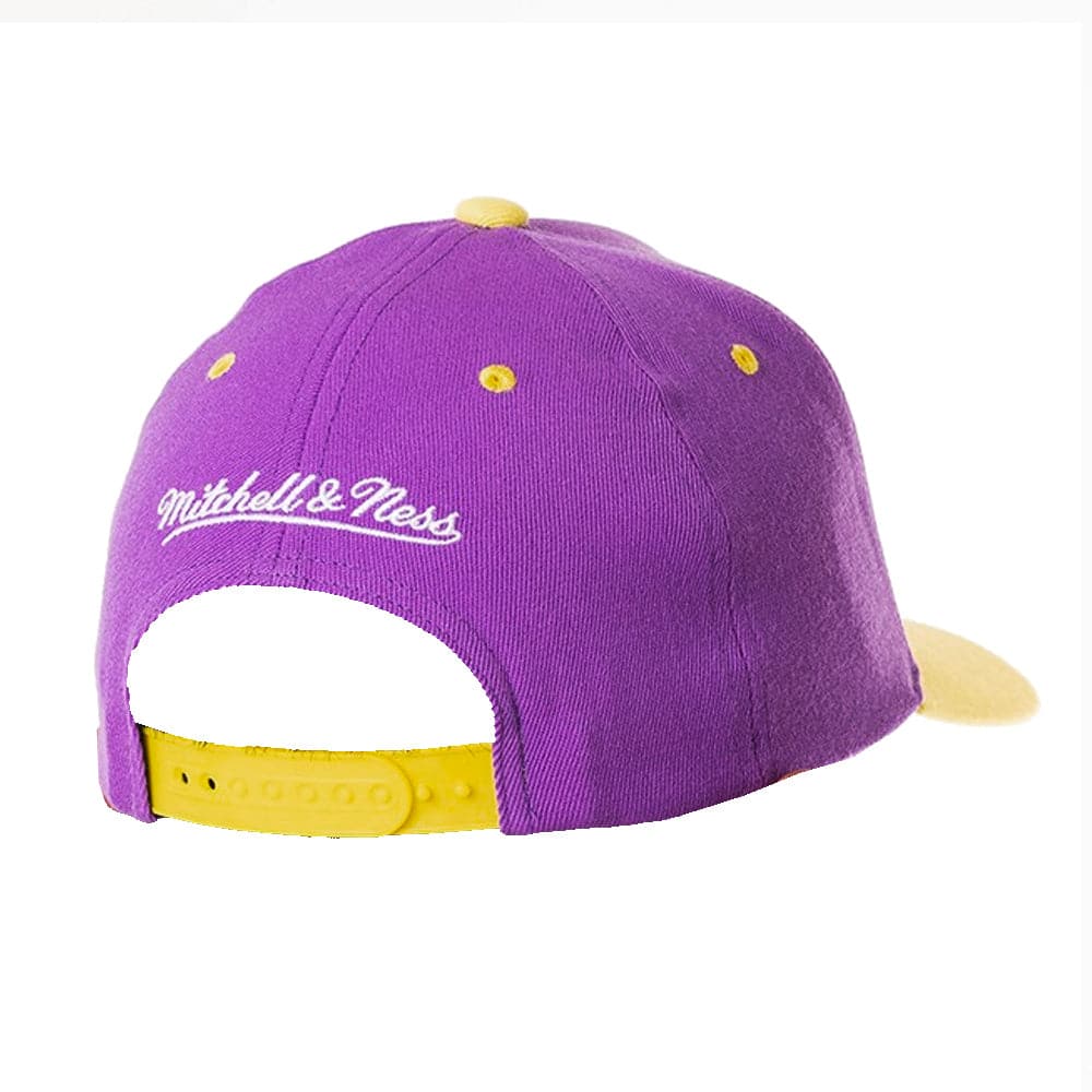 Mitchell And Ness Caps LSU Tigers Mitchell & Ness NCAA Line Up Deadstock Snapback Hat - Purple