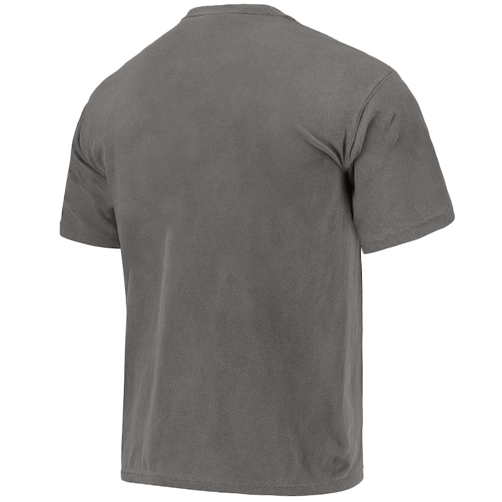 NCAA Branded T-Shirts North Carolina Tar Heals NCAA Arch Vintage T-Shirt - Grey