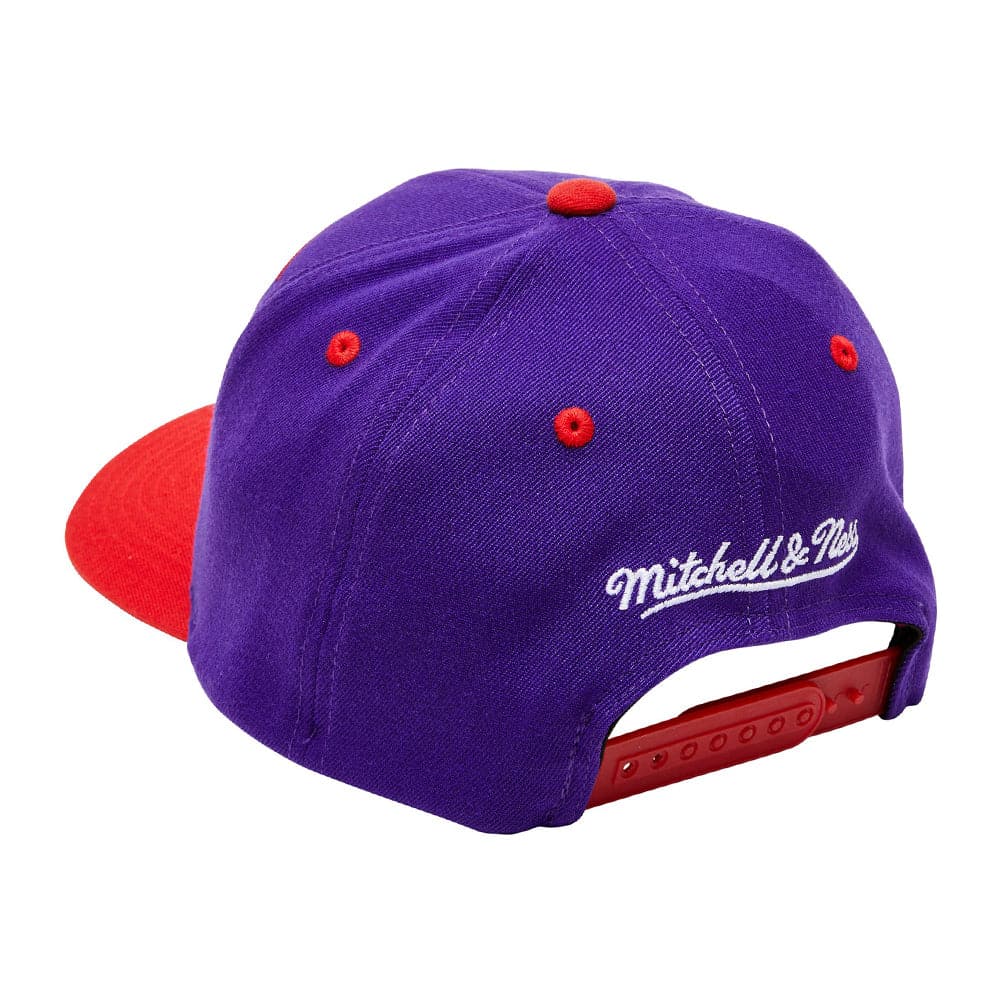 Mitchell And Ness Caps Toronto Raptors Mitchell & Ness NBA Billboard Classic Red Curve Snapback Hat - Purple