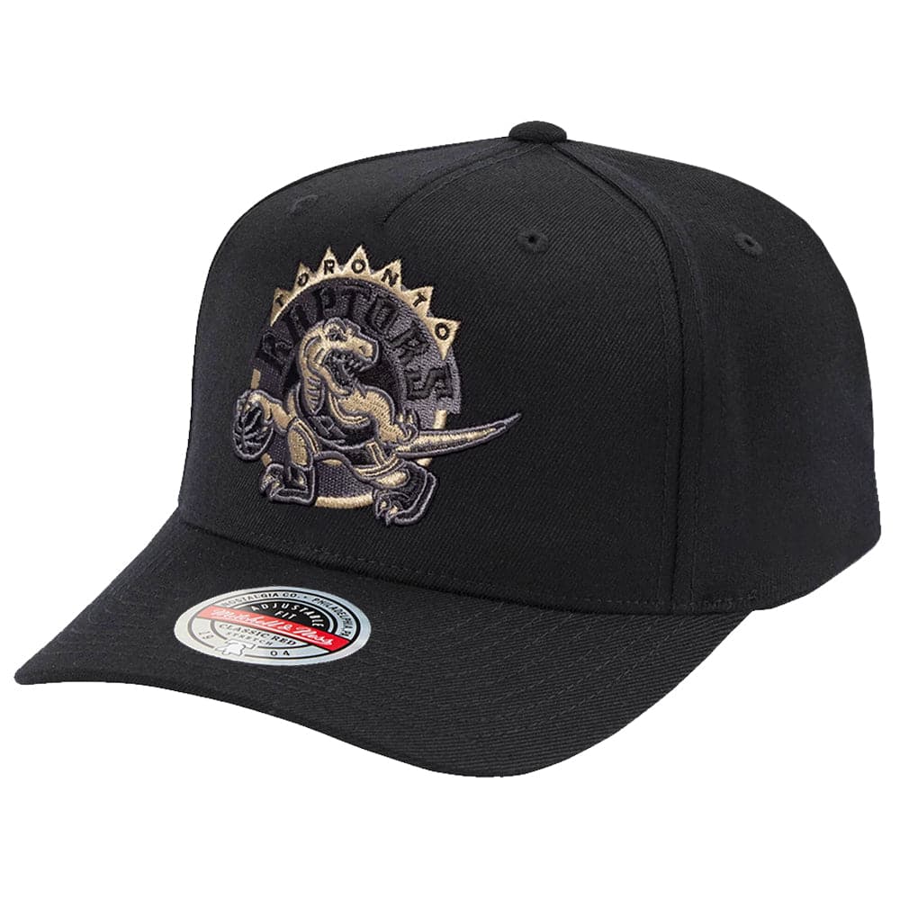 Mitchell And Ness Caps Toronto Raptors Mitchell & Ness NBA HWC Tonal Curve Snapback Hat - Black