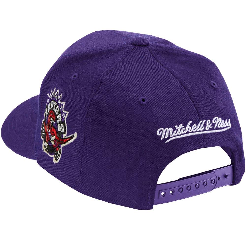 Mitchell And Ness Caps Toronto Raptors Mitchell & Ness NBA Iconic Classic Red Curve Snapback Hat - Purple