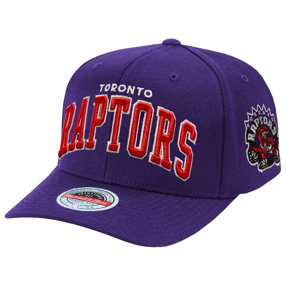 Mitchell And Ness Caps Toronto Raptors Mitchell & Ness NBA Iconic Classic Red Curve Snapback Hat - Purple