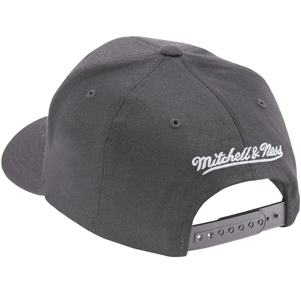 Mitchell And Ness Caps Toronto Raptors Mitchell & Ness NBA Laguana Curve Snapback Hat - Grey