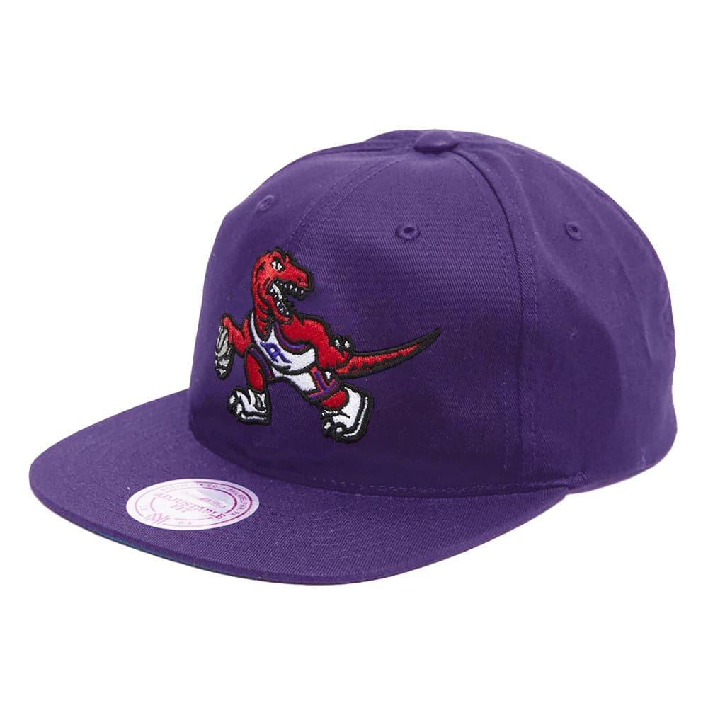 Mitchell And Ness Caps Toronto Raptors Mitchell & Ness NBA Stripes Deadstock Snapback Hat - Purple