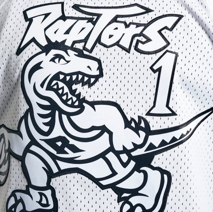 Mitchell And Ness Jerseys Tracy McGrady Toronto Raptors Mitchell & Ness NBA Black & White Swingman Jersey - White