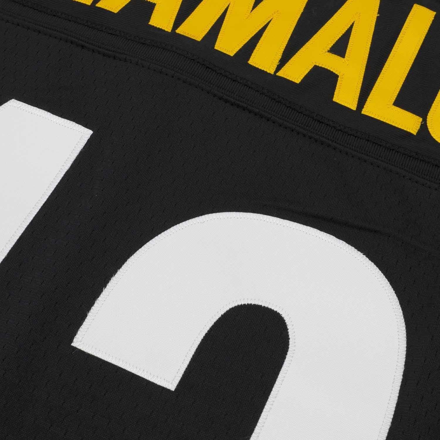 Mitchell And Ness Jerseys Troy Polamalu Pittsburgh Steelers Mitchell & Ness NFL 05 Legacy Jersey - Black