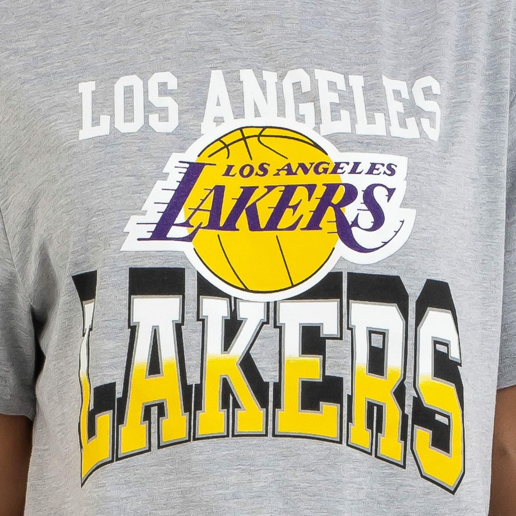 NBA Essentials T-Shirts Womens Los Angeles Lakers NBA Essentials Bridgeport Oversized T-Shirt - Grey Marle