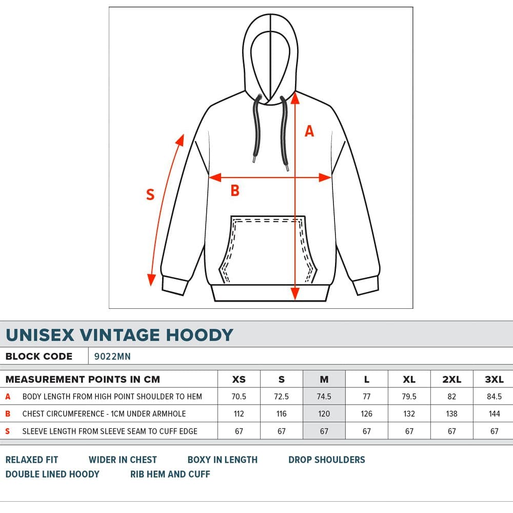Michigan Wolverines USL NCAA Puff Arch Vintage Hoodie Jumper - Blue